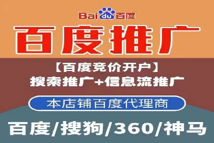 精准投放，高效转化——网站sem托管的胜利案例